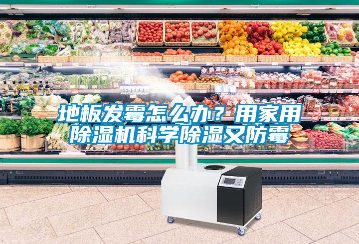 地板發(fā)霉怎么辦？用家用除濕機(jī)科學(xué)除濕又防霉