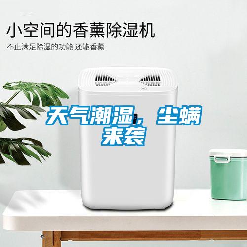 天氣潮濕，塵螨來襲