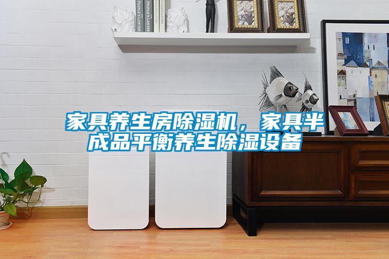 家具養(yǎng)生房除濕機(jī)，家具半成品平衡養(yǎng)生除濕設(shè)備
