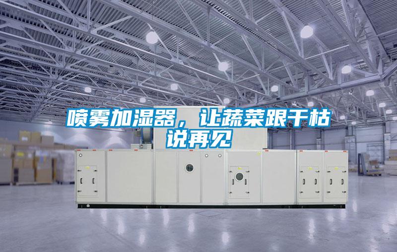 噴霧加濕器，讓蔬菜跟干枯說再見