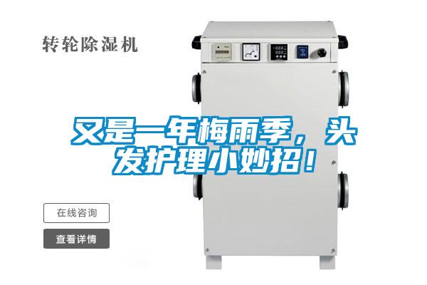 又是一年梅雨季，頭發(fā)護(hù)理小妙招！