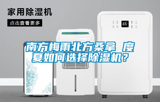 南方梅雨北方桑拿 度夏如何選擇除濕機(jī)？