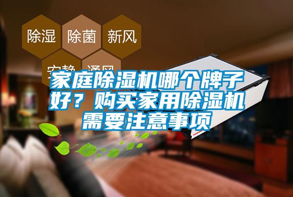 家庭除濕機哪個牌子好？購買家用除濕機需要注意事項