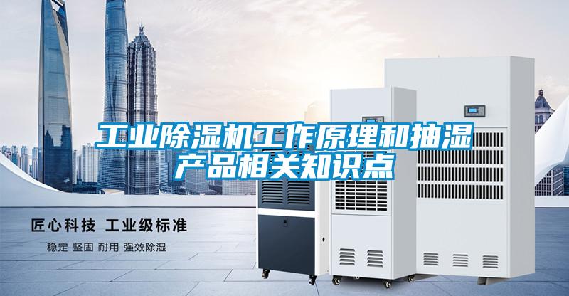 工業(yè)除濕機工作原理和抽濕產(chǎn)品相關知識點