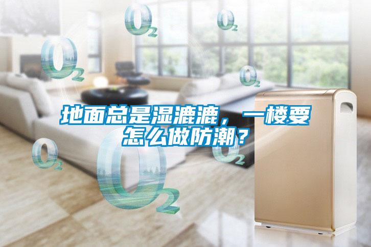 地面總是濕漉漉，一樓要怎么做防潮？
