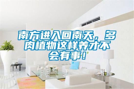 南方進入回南天，多肉植物這樣養(yǎng)才不會有事！