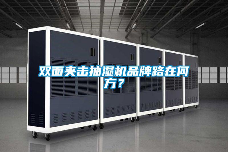 雙面夾擊抽濕機(jī)品牌路在何方？
