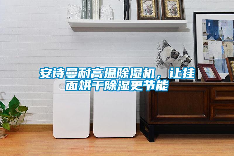 安詩曼耐高溫除濕機(jī)，讓掛面烘干除濕更節(jié)能