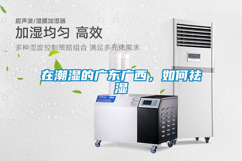 在潮濕的廣東廣西，如何祛濕