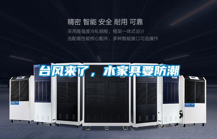 臺風(fēng)來了，木家具要防潮