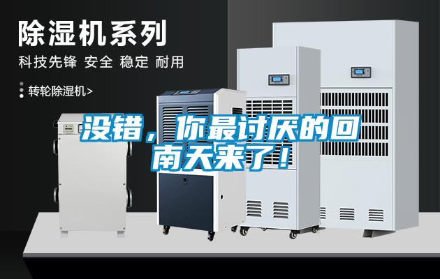 沒錯，你最討厭的回南天來了！