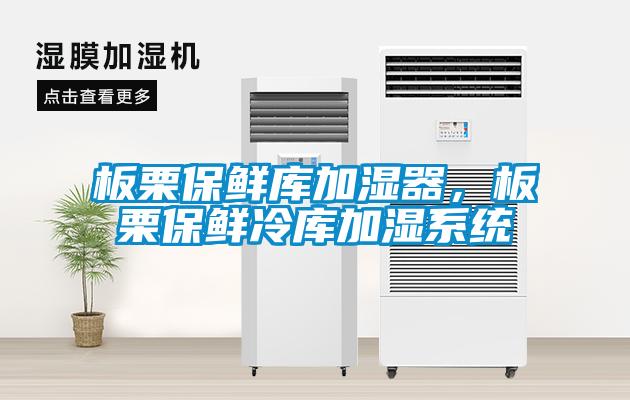 板栗保鮮庫(kù)加濕器，板栗保鮮冷庫(kù)加濕系統(tǒng)