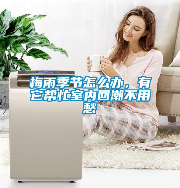 梅雨季節(jié)怎么辦，有它幫忙室內(nèi)回潮不用愁