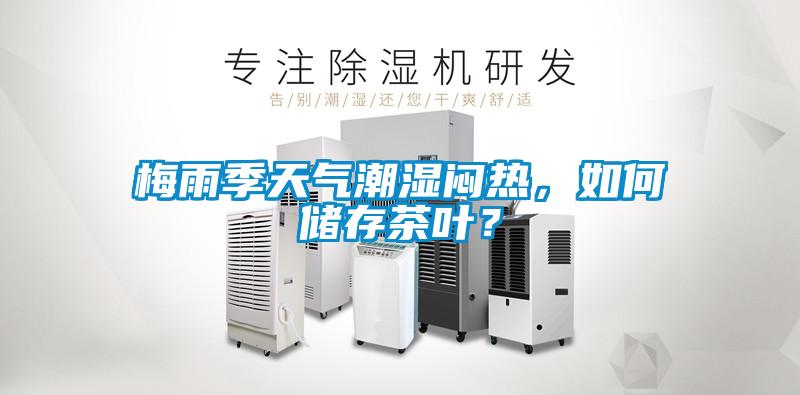 梅雨季天氣潮濕悶熱，如何儲存茶葉？