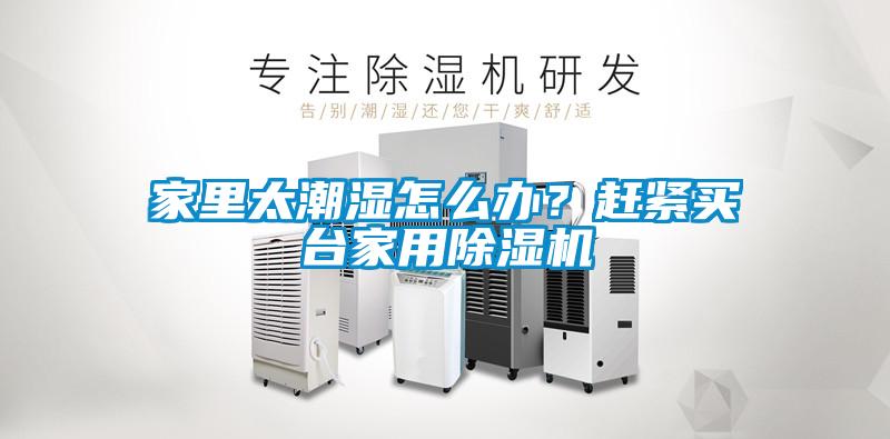 家里太潮濕怎么辦？趕緊買臺家用除濕機