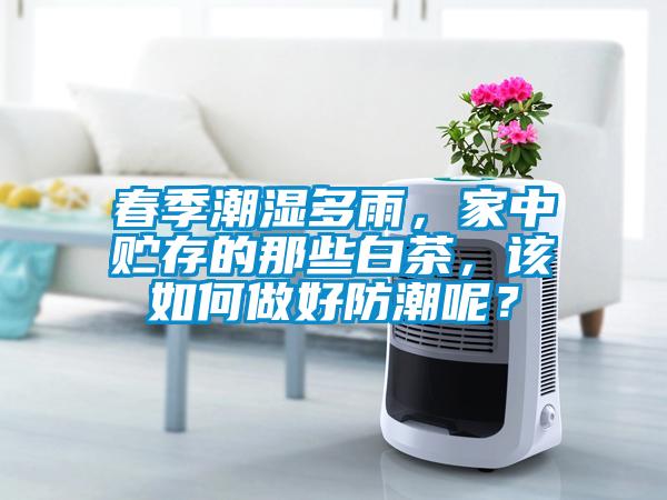 春季潮濕多雨，家中貯存的那些白茶，該如何做好防潮呢？