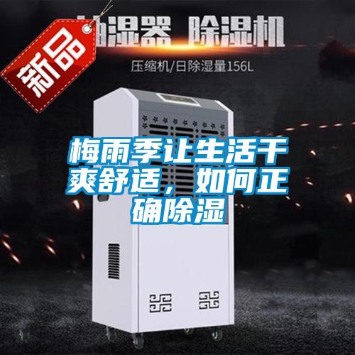 梅雨季讓生活干爽舒適，如何正確除濕