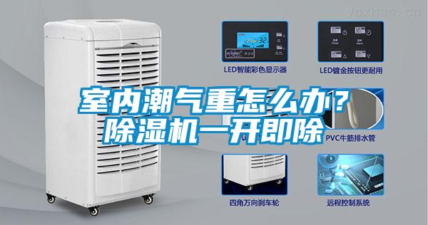 室內(nèi)潮氣重怎么辦？除濕機(jī)一開(kāi)即除