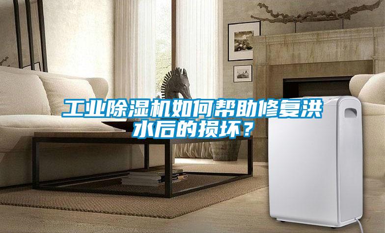 工業(yè)除濕機(jī)如何幫助修復(fù)洪水后的損壞？