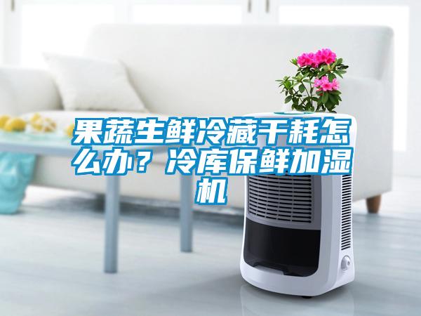 果蔬生鮮冷藏干耗怎么辦？冷庫(kù)保鮮加濕機(jī)
