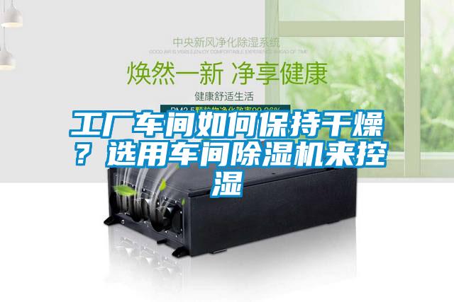 工廠車間如何保持干燥？選用車間除濕機(jī)來(lái)控濕
