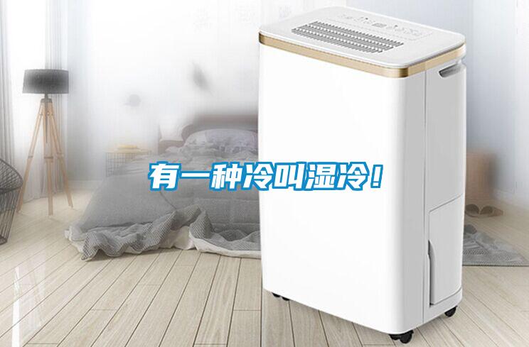 有一種冷叫濕冷！