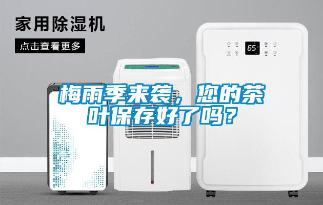 梅雨季來襲，您的茶葉保存好了嗎？