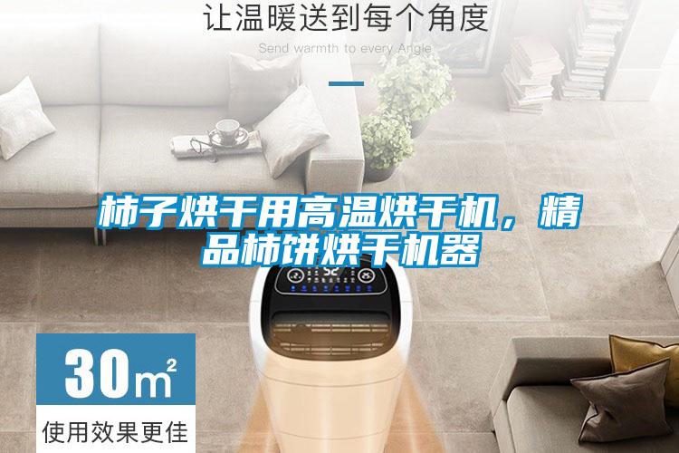 柿子烘干用高溫烘干機，精品柿餅烘干機器