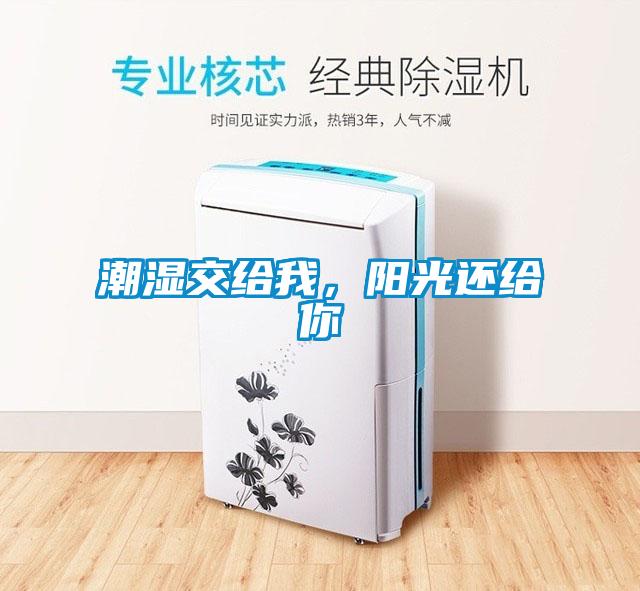 潮濕交給我，陽(yáng)光還給你