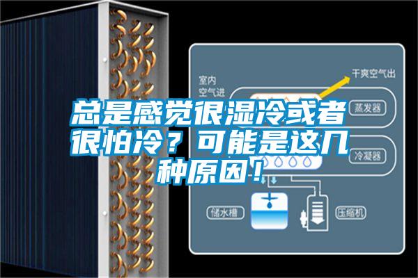 總是感覺很濕冷或者很怕冷？可能是這幾種原因！