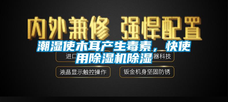 潮濕使木耳產(chǎn)生毒素，快使用除濕機除濕