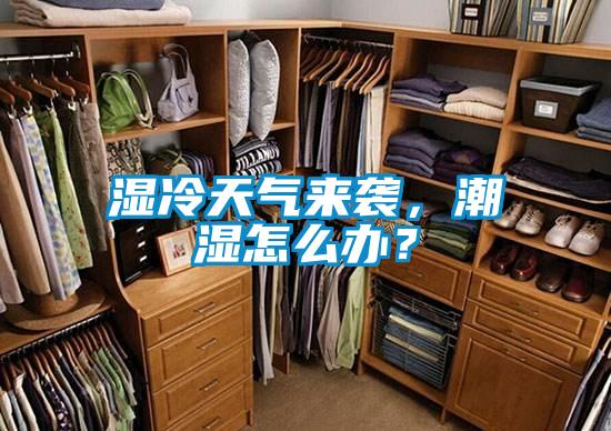 濕冷天氣來襲，潮濕怎么辦？