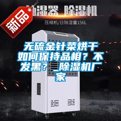 無(wú)硫金針菜烘干如何保持品相？不發(fā)黑？_除濕機(jī)廠家
