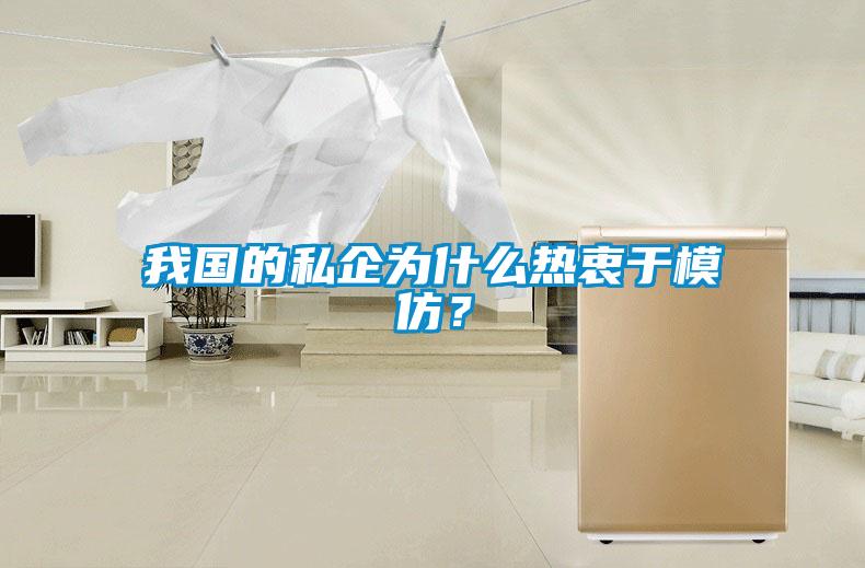 我國的私企為什么熱衷于模仿？