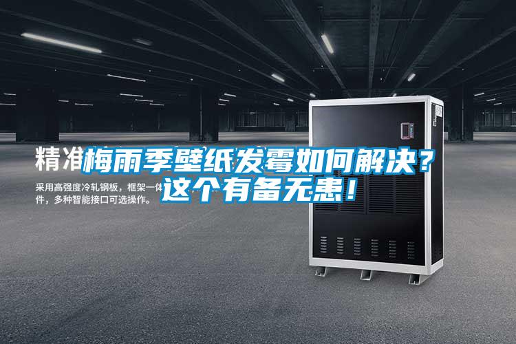 梅雨季壁紙發(fā)霉如何解決？這個有備無患！