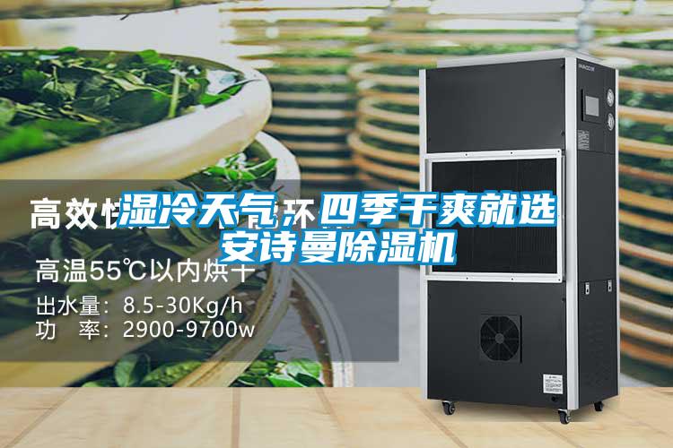 濕冷天氣，四季干爽就選安詩曼除濕機(jī)