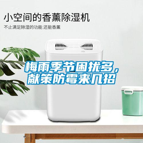 梅雨季節(jié)困擾多，獻(xiàn)策防霉來(lái)幾招