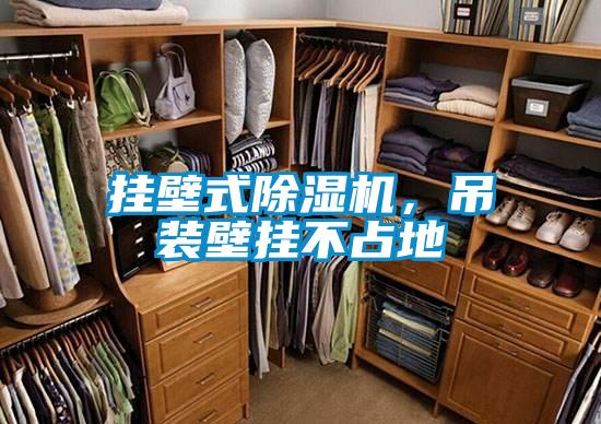 掛壁式除濕機(jī)，吊裝壁掛不占地