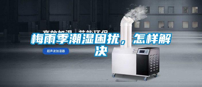 梅雨季潮濕困擾，怎樣解決