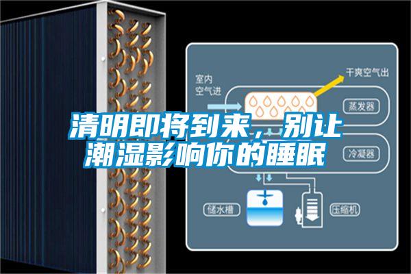 清明即將到來，別讓潮濕影響你的睡眠