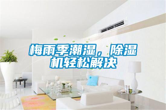 梅雨季潮濕，除濕機(jī)輕松解決