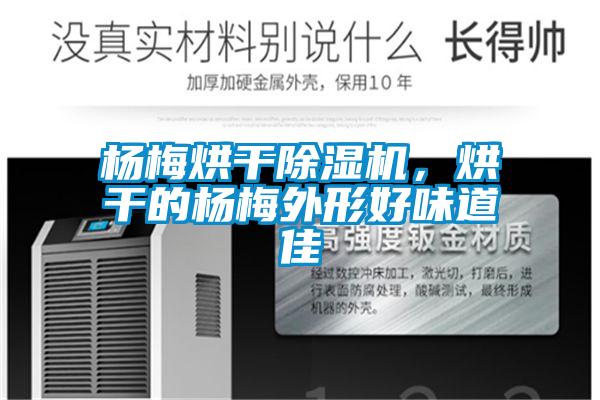 楊梅烘干除濕機(jī)，烘干的楊梅外形好味道佳