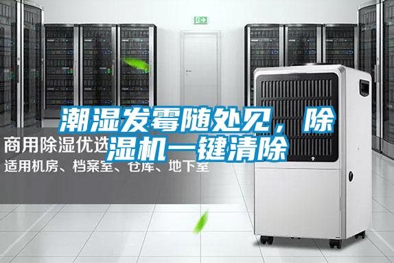 潮濕發(fā)霉隨處見，除濕機(jī)一鍵清除
