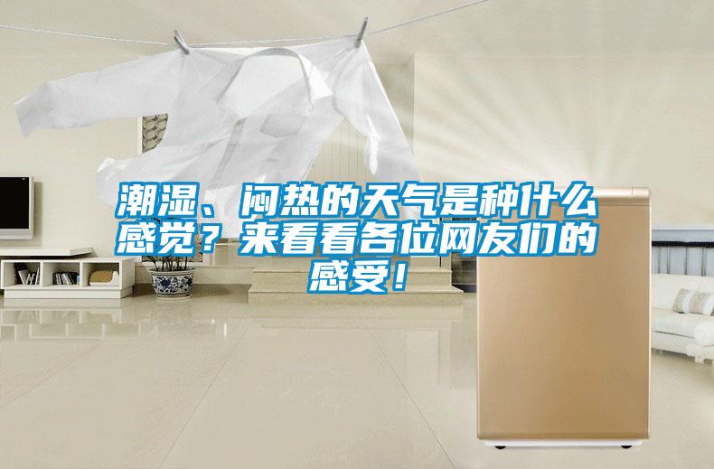 潮濕、悶熱的天氣是種什么感覺？來看看各位網(wǎng)友們的感受！