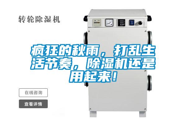 瘋狂的秋雨，打亂生活節(jié)奏，除濕機(jī)還是用起來！