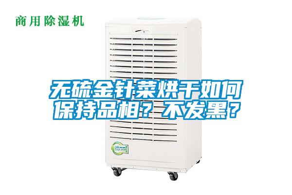 無硫金針菜烘干如何保持品相？不發(fā)黑？