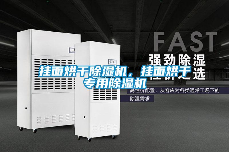 掛面烘干除濕機(jī)，掛面烘干專用除濕機(jī)