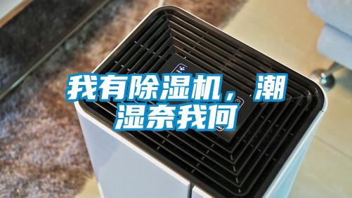 我有除濕機，潮濕奈我何