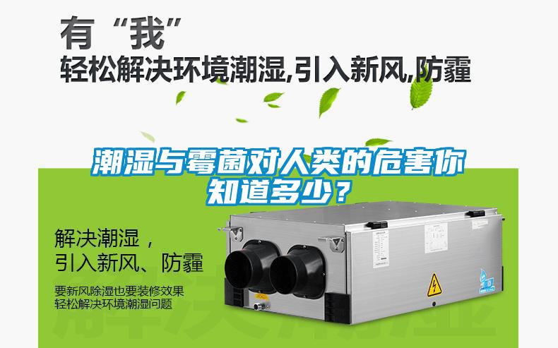 潮濕與霉菌對人類的危害你知道多少？