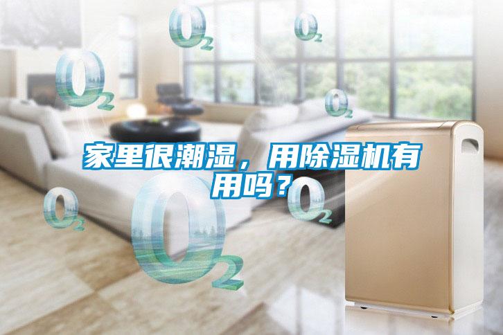 家里很潮濕，用除濕機有用嗎？